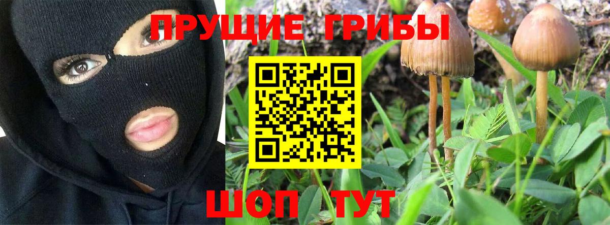 Галлюциногенные грибы прущие грибы Новоалександровск